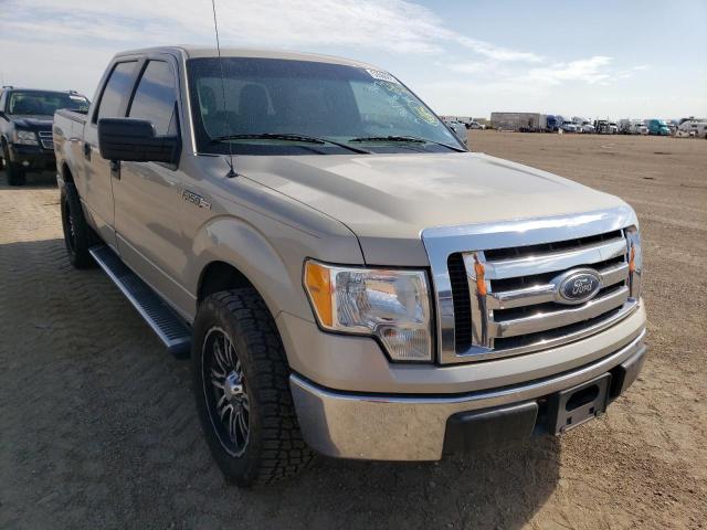 FORD F150 SUPER 2010 with VIN 1FTEW1C86AFD91262 - Photo from auction