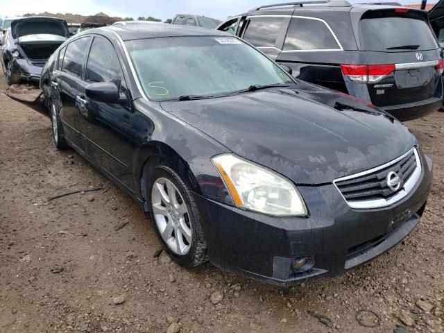 NISSAN MAXIMA SE 2008 with VIN 1N4BA41E68C825032 - Photo from auction