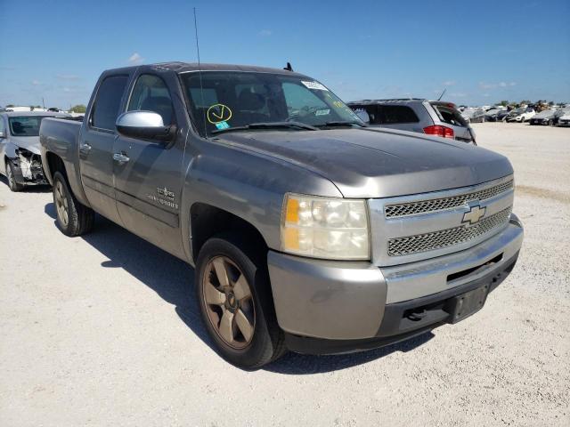 CHEVROLET SILVERADO 2009 with VIN 3GCEC23J09G148025 - Photo from auction