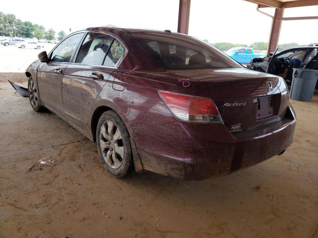 Photo 3 from auction – 2010 HONDA ACCORD EXL with VIN 1HGCP2F81AA094100