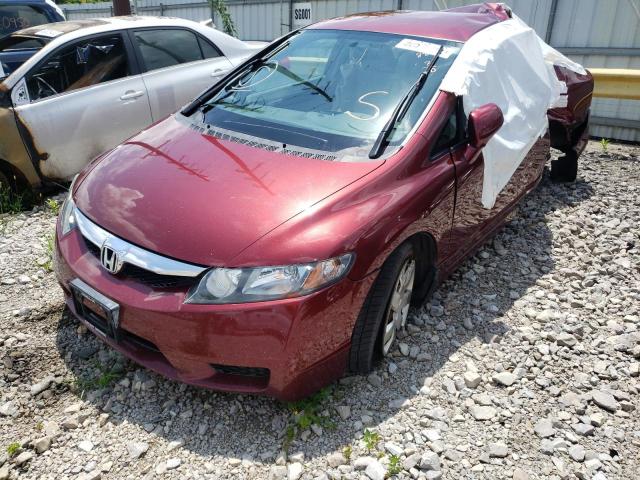 Photo 2 from auction – 2010 HONDA CIVIC LX with VIN 19XFA1F5XAE068802