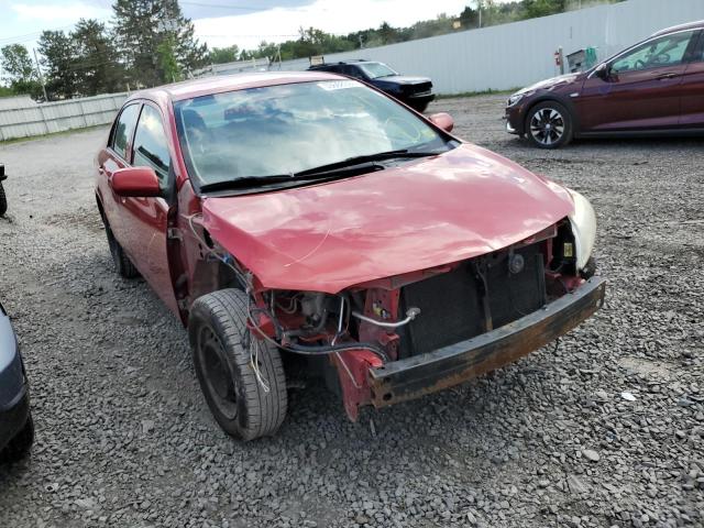 TOYOTA COROLLA BA 2010 with VIN 2T1BU4EE2AC521656 - Photo from auction