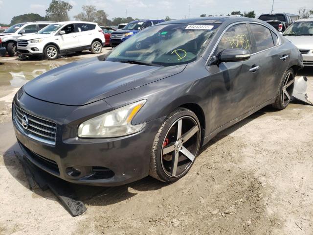Photo 2 from auction – 2009 NISSAN MAXIMA S with VIN 1N4AA51E19C856322