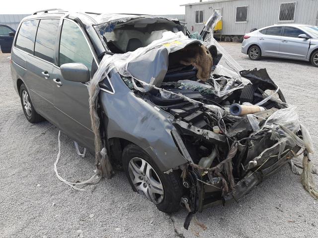 HONDA ODYSSEY EX 2007 with VIN 5FNRL38757B415005 - Photo from auction