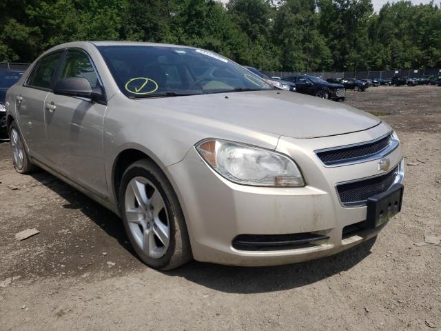 CHEVROLET MALIBU LS 2010 with VIN 1G1ZB5EB0AF107310 - Photo from auction