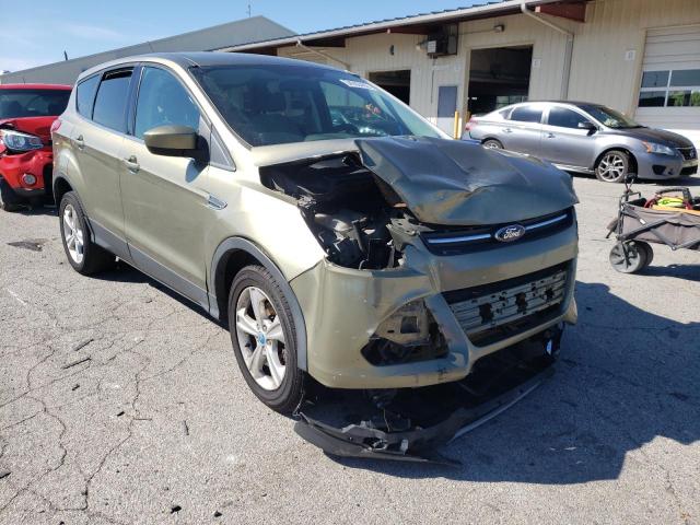 FORD ESCAPE SE 2013 with VIN 1FMCU0GXXDUC84302 - Photo from auction