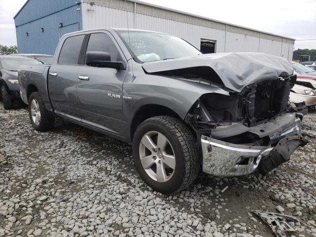 DODGE RAM 1500 2009 with VIN 1D3HV13T49J531507 - Photo from auction