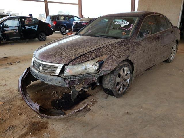 Photo 2 from auction – 2010 HONDA ACCORD EXL with VIN 1HGCP2F81AA094100