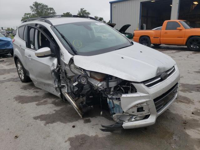 FORD ESCAPE SEL 2013 with VIN 1FMCU0HX1DUA39287 - Photo from auction