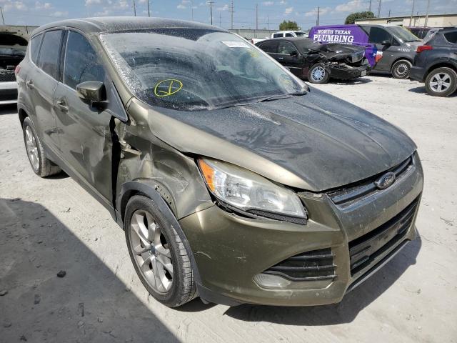 FORD ESCAPE SEL 2013 with VIN 1FMCU0HXXDUA55066 - Photo from auction