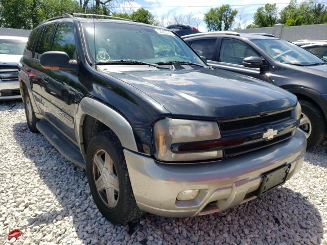 CHEVROLET TRAILBLAZE 2002 with VIN 1GNDT13S422300361 - Photo from auction