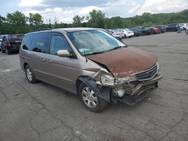 HONDA ODYSSEY 2004 with VIN 5FNRL18614B072667 - Photo from auction