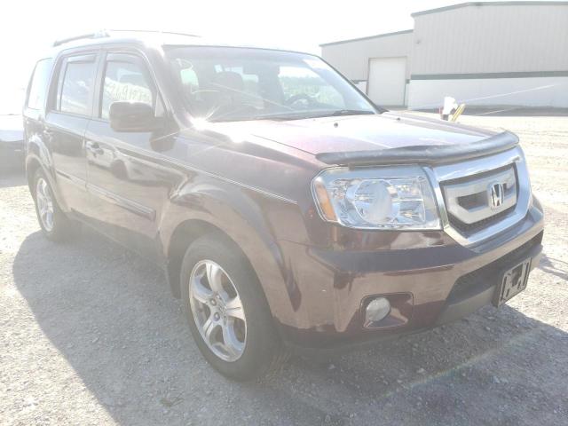 HONDA PILOT EXL 2009 with VIN 5FNYF48529B001898 - Photo from auction