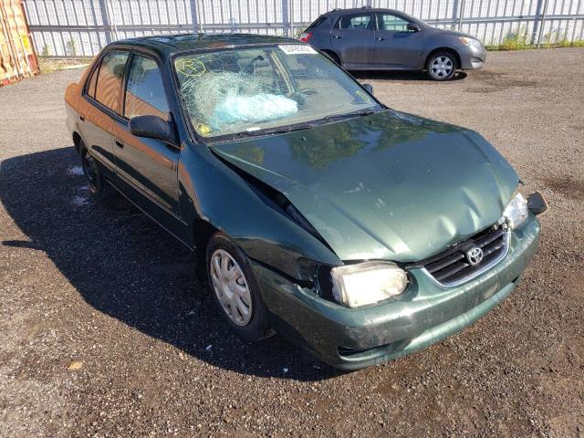 TOYOTA COROLLA CE 2001 with VIN 2T1BR12E31C847356 - Photo from auction