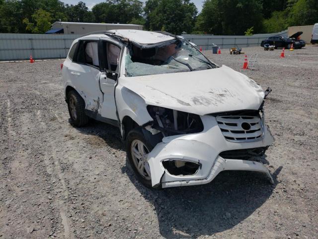 HYUNDAI SANTA FE G 2010 with VIN 5NMSG3ABXAH333698 - Photo from auction