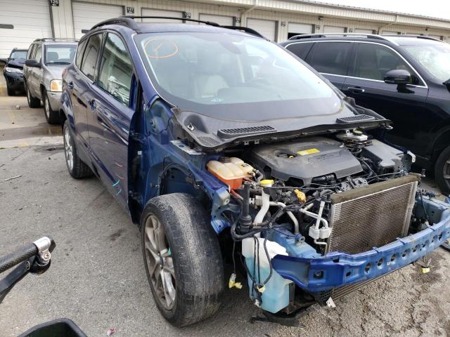 FORD ESCAPE SEL 2013 with VIN 1FMCU0HX4DUC77604 - Photo from auction