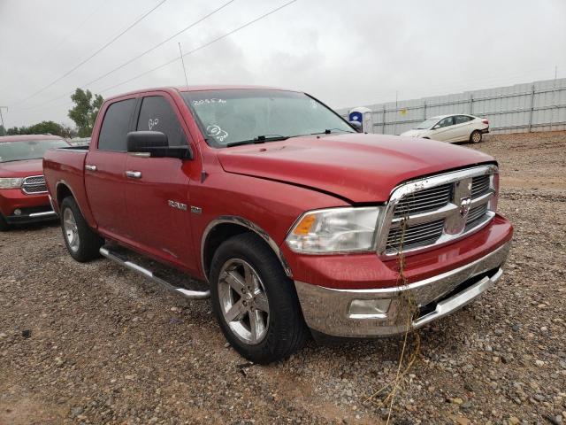 DODGE RAM 1500 2010 with VIN 1D7RB1CT9AS209570 - Photo from auction