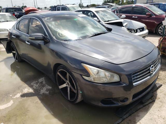 NISSAN MAXIMA S 2009 with VIN 1N4AA51E19C856322 - Photo from auction