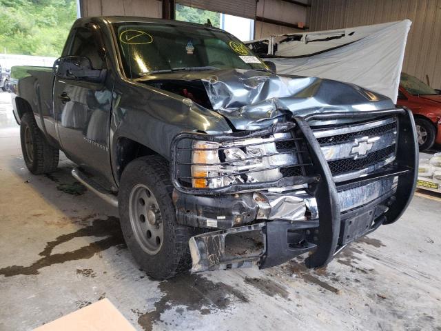 CHEVROLET SILVERADO 2008 with VIN 1GCEK14CX8Z123080 - Photo from auction
