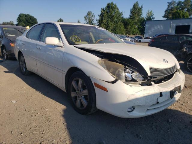 LEXUS ES 330 2005 with VIN JTHBA30G655106479 - Photo from auction