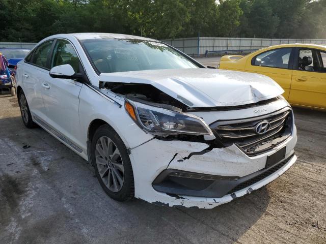 HYUNDAI SONATA SPO 2016 with VIN 5NPE34AF0GH288610 - Photo from auction