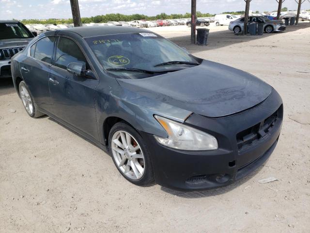 NISSAN MAXIMA S 2009 with VIN 1N4AA51E79C815371 - Photo from auction