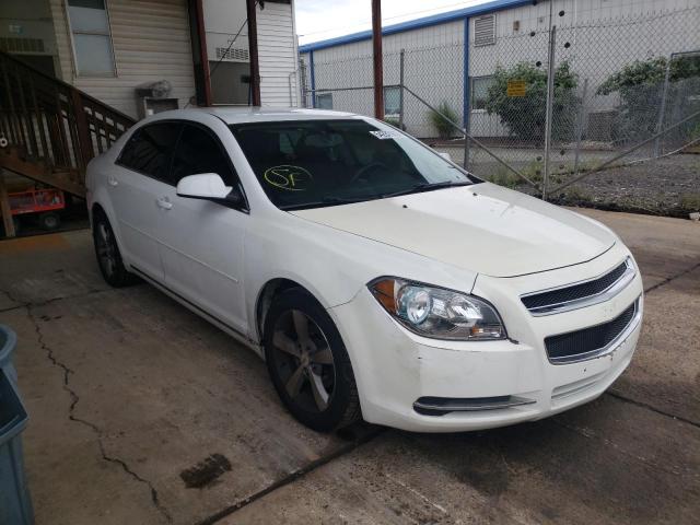CHEVROLET MALIBU 1LT 2011 with VIN 1G1ZC5E13BF298968 - Photo from auction