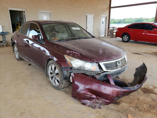 HONDA ACCORD EXL 2010 with VIN 1HGCP2F81AA094100 - Photo from auction