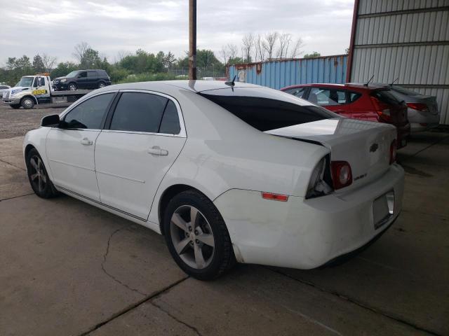 Photo 3 from auction – 2011 CHEVROLET MALIBU 1LT with VIN 1G1ZC5E13BF298968