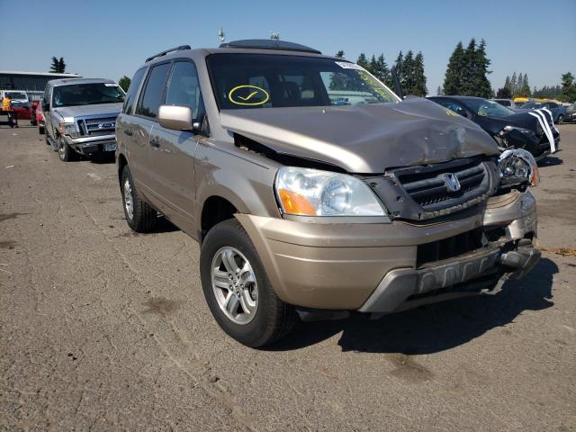 HONDA PILOT EXL 2005 with VIN 5FNYF18695B023494 - Photo from auction