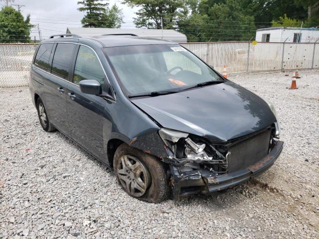 HONDA ODYSSEY 2006 with VIN 5FNRL38446B417591 - Photo from auction