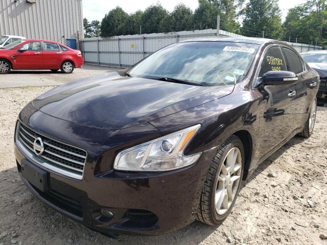 Photo 2 from auction – 2011 NISSAN MAXIMA S with VIN 1N4AA5AP1BC837177