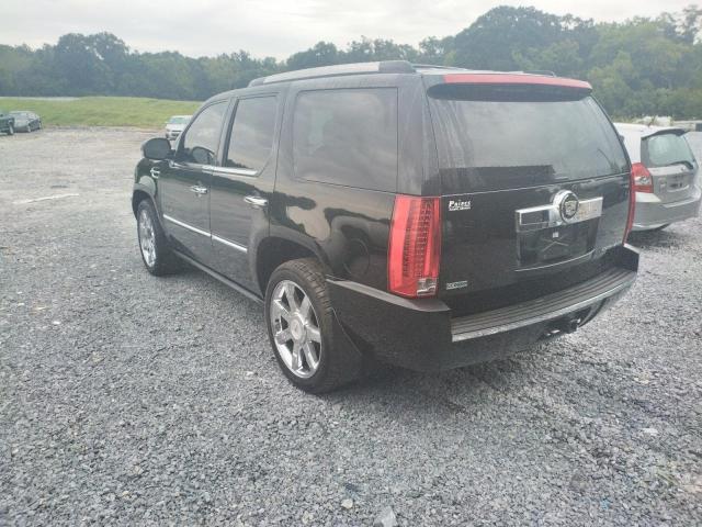 Photo 3 from auction – 2010 CADILLAC ESCALADE P with VIN 1GYUKCEF7AR237764