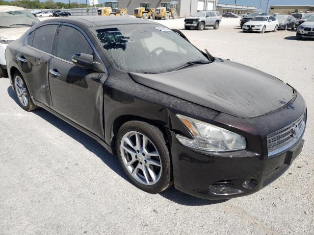 NISSAN MAXIMA S 2011 with VIN 1N4AA5AP8BC826161 - Photo from auction