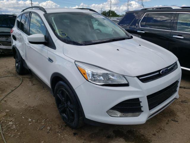 FORD ESCAPE SE 2016 with VIN 1FMCU9GX5GUA88891 - Photo from auction