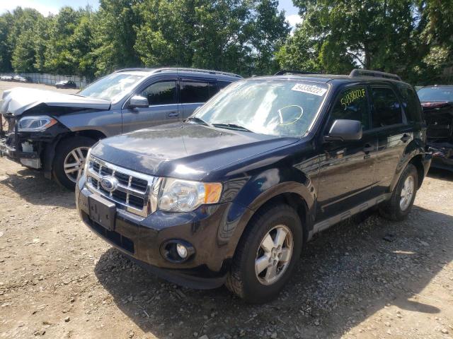 Photo 2 from auction – 2010 FORD ESCAPE XLT with VIN 1FMCU0D71AKD08935
