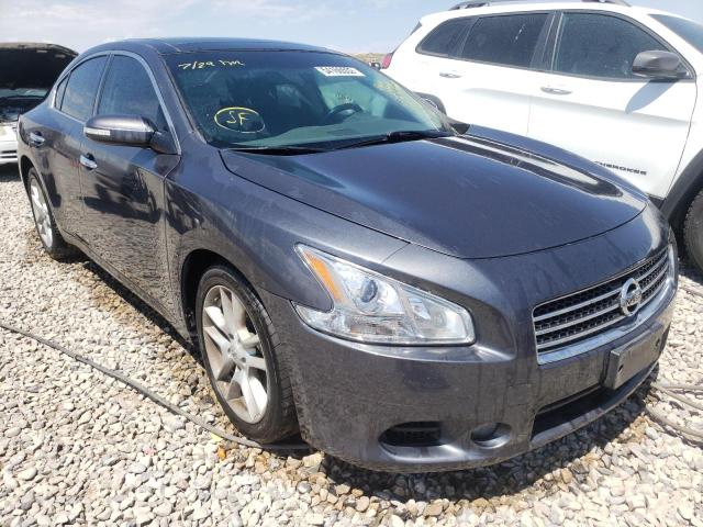 NISSAN MAXIMA S 2011 with VIN 1N4AA5AP0BC810410 - Photo from auction