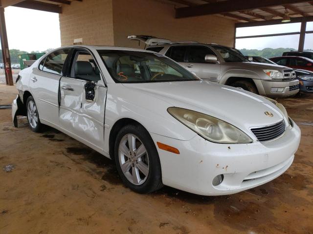 LEXUS ES 330 2005 with VIN JTHBA30G855106340 - Photo from auction