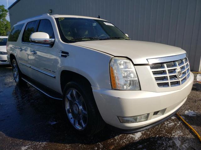CADILLAC ESCALADE E 2010 with VIN 1GYUCHEF2AR150641 - Photo from auction