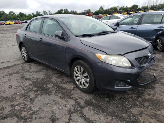 TOYOTA COROLLA BA 2010 with VIN 2T1BU4EE3AC379012 - Photo from auction