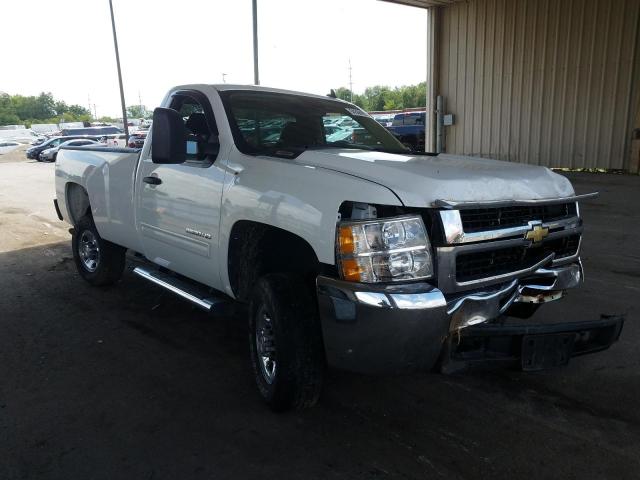 CHEVROLET SILVERADO 2010 with VIN 1GC3KXBG3AF120867 - Photo from auction