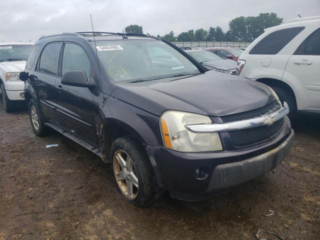 CHEVROLET EQUINOX LT 2005 with VIN 2CNDL73F556178983 - Photo from auction
