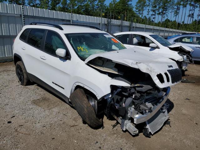 JEEP CHEROKEE L 2021 with VIN 1C4PJLLB4MD112230 - Photo from auction