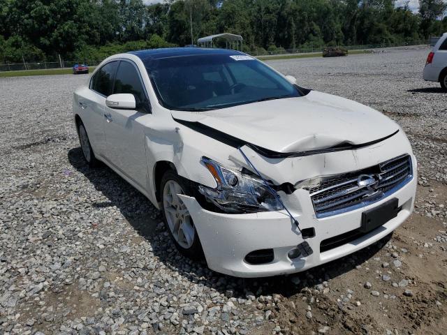NISSAN MAXIMA S 2011 with VIN 1N4AA5AP1BC801022 - Photo from auction