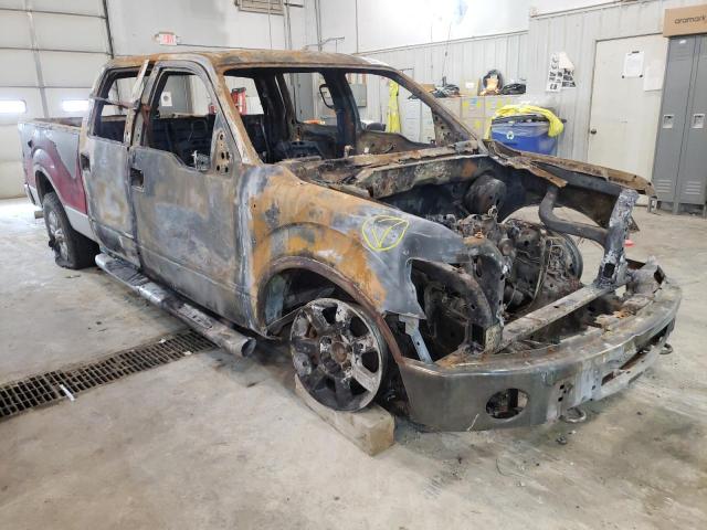 FORD F150 SUPER 2009 with VIN 1FTPW14VX9FA16547 - Photo from auction