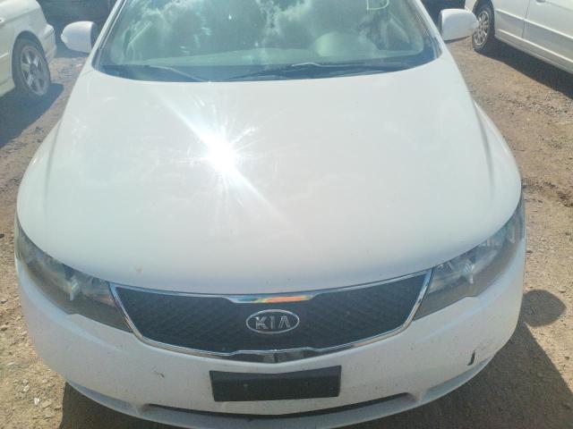Photo 9 from auction – 2010 KIA FORTE EX with VIN KNAFU4A20A5110392