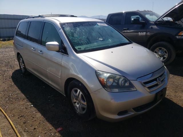 HONDA ODYSSEY EX 2007 with VIN 5FNRL38427B421379 - Photo from auction