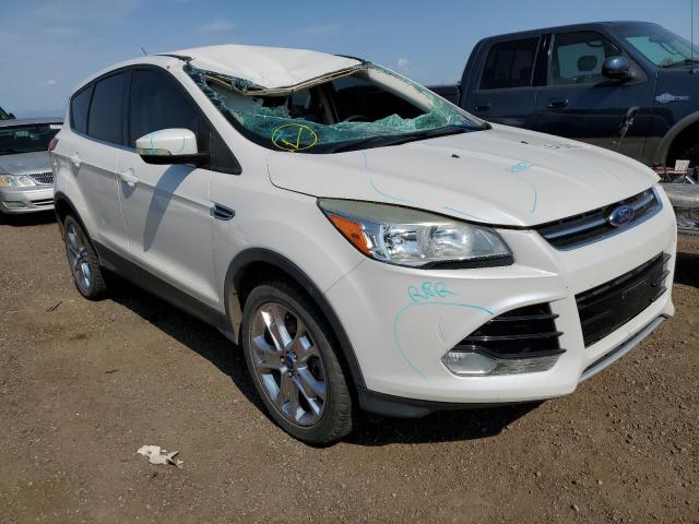 FORD ESCAPE SEL 2013 with VIN 1FMCU9HX0DUC54907 - Photo from auction