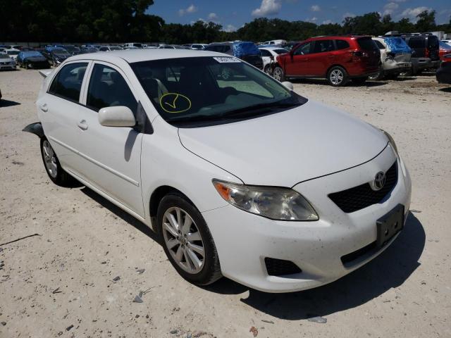 TOYOTA COROLLA BA 2009 with VIN JTDBL40EX99066700 - Photo from auction