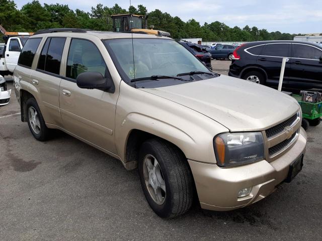 CHEVROLET TRAILBLAZE 2006 with VIN 1GNDT13S662184389 - Photo from auction